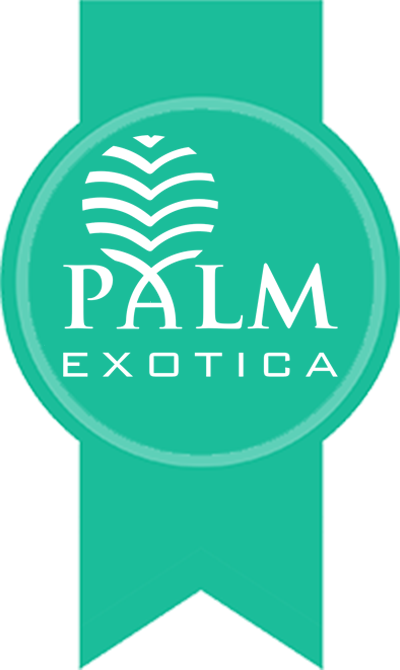 PALM EXOTICA @ Aamodar , Waghodia Road, Vadodara